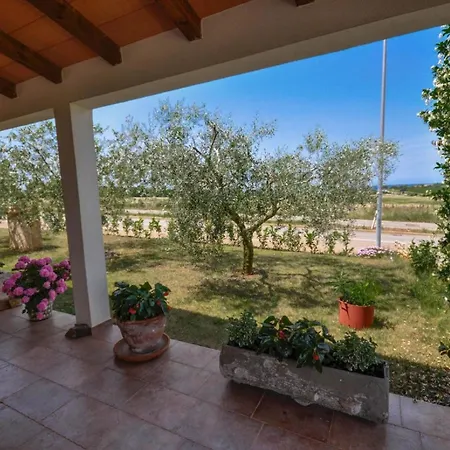 Apartament 