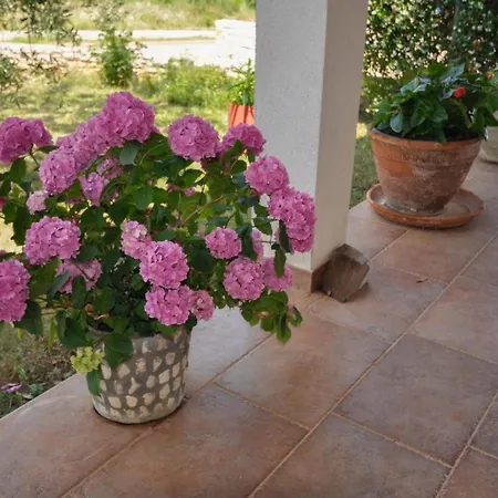 Grosse In Mit Garten Und Terrasse * Dajla
